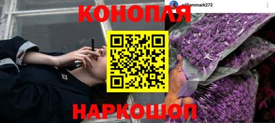 кокаин колумбия Тверь