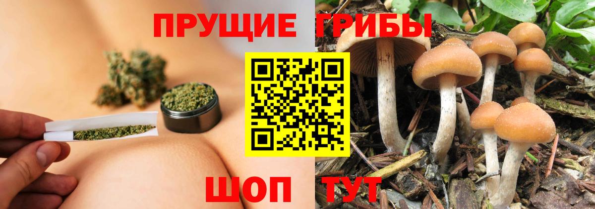 Псилоцибиновые грибы Magic Shrooms  Вход с VPN  Тобольск 