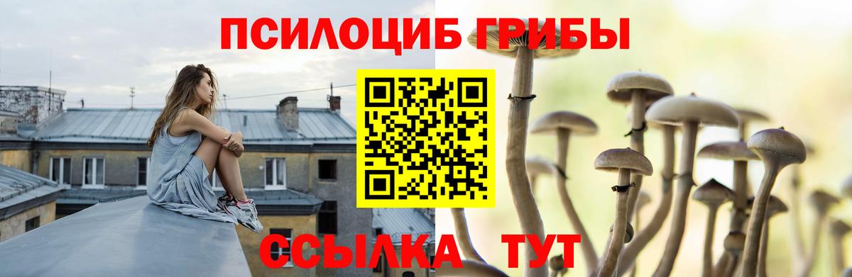 Галлюциногенные грибы ЛСД Тобольск